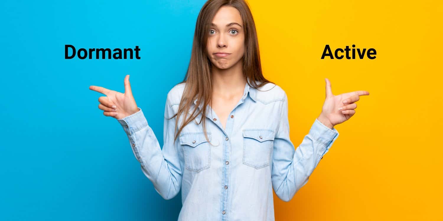 A woman in a blue shirt stands in front of a split blue and yellow background, pointing left towards "Dormant" and right to "Active"